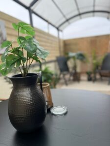 B&B overdekt terras - Beschutte buitenruimte met planten