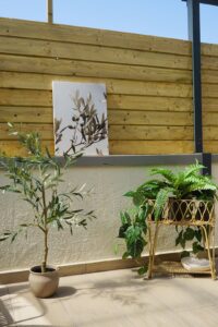 B&B terras - Groene oase met olijfboom en kunst